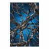 Liquid Birch Vloerkleed