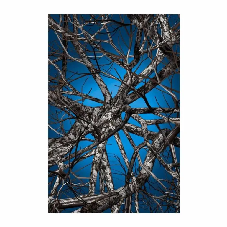 Liquid Birch Vloerkleed