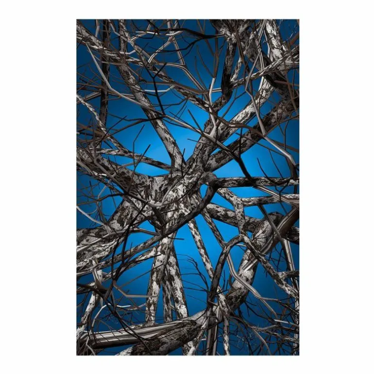 Liquid Birch Vloerkleed