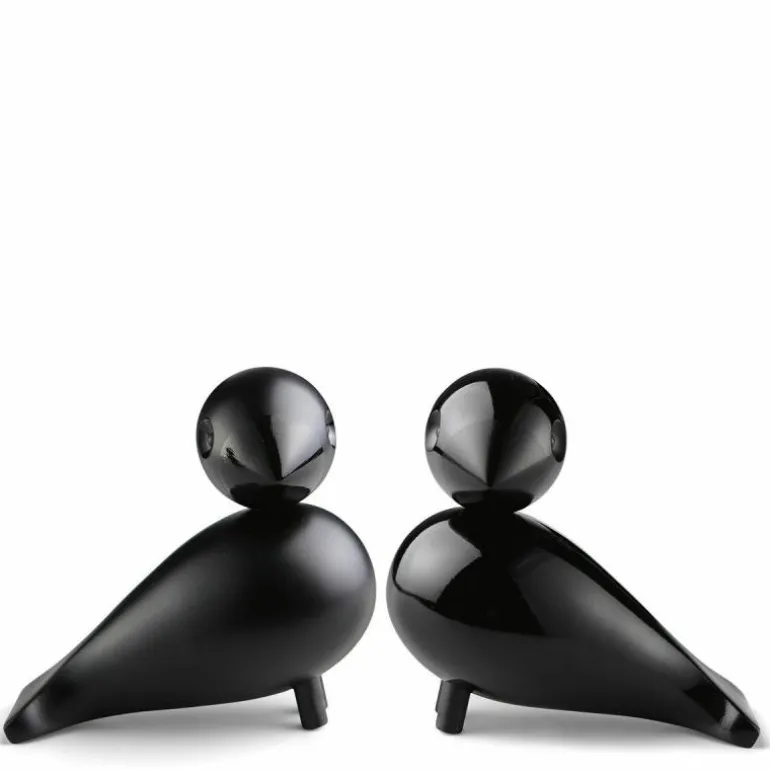 Lovebirds Black