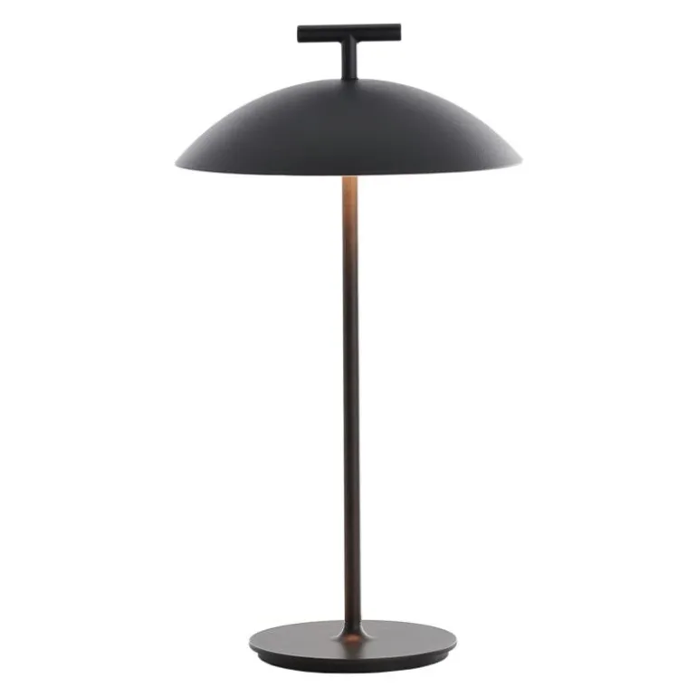 Mini Geen-A Tafellamp Oplaadbaar
