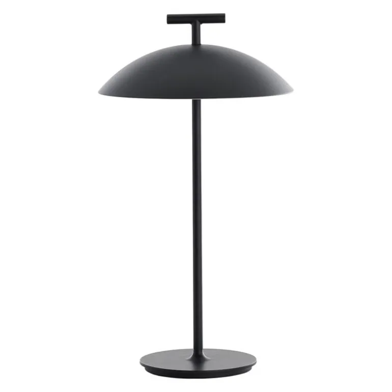 Mini Geen-A Tafellamp Oplaadbaar
