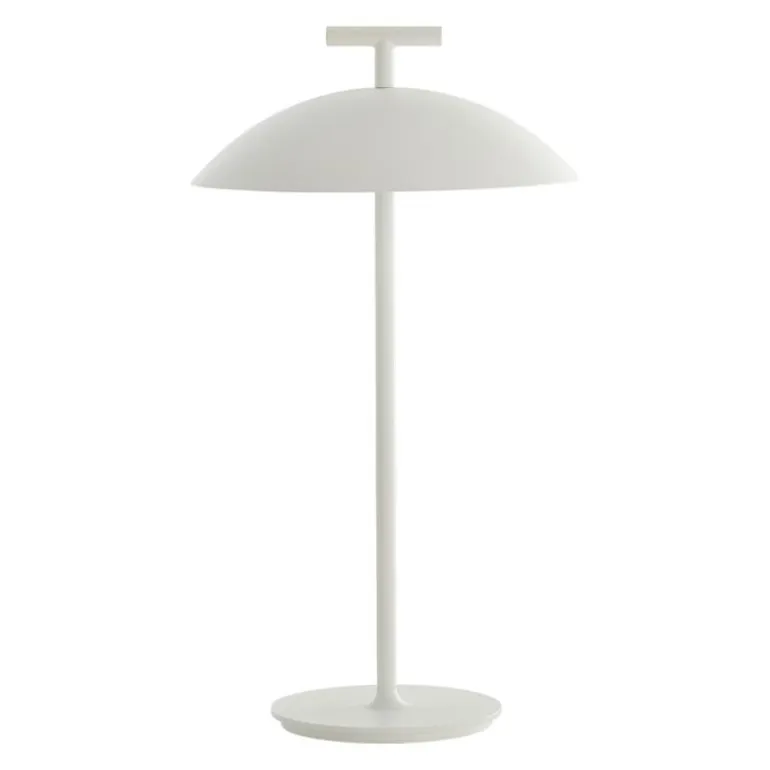 Mini Geen-A Tafellamp Oplaadbaar