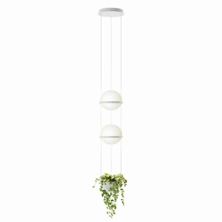 Palma Hanglamp