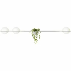 Palma Wandlamp