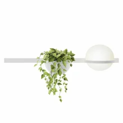 Palma Wandlamp