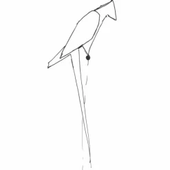 Perch Wandlamp