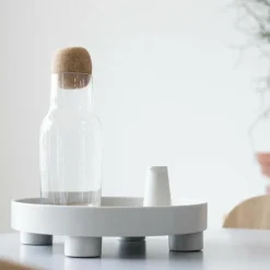 Platform Tray