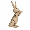 Rabbit Konijn