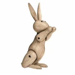 Rabbit Konijn