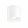 Ray 1.0 GU10 Plafondlamp