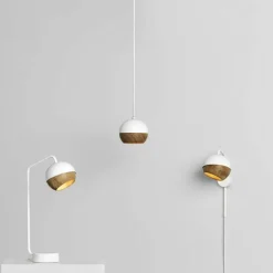 Ray Wandlamp