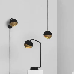 Ray Wandlamp