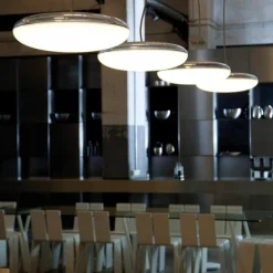 Silverback Hanglamp