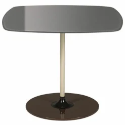 Thierry Bijzettafel