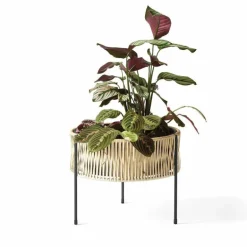 Umanoff Plantenbak