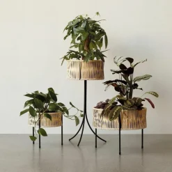 Umanoff Plantenbak