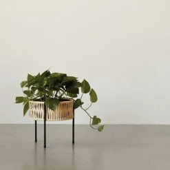 Umanoff Plantenbak