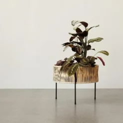 Umanoff Plantenbak