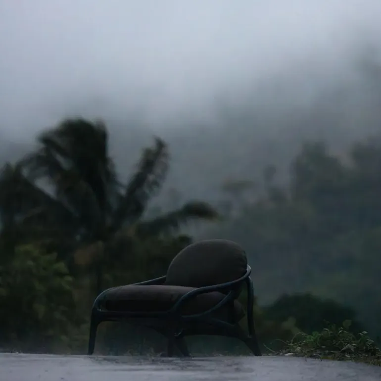 Vime Lounge Chair