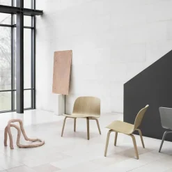 Visu Fauteuil