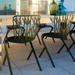 Washington Skeleton Chair
