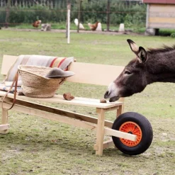 Wheelbench Bank