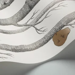Woods & Pears Behang
